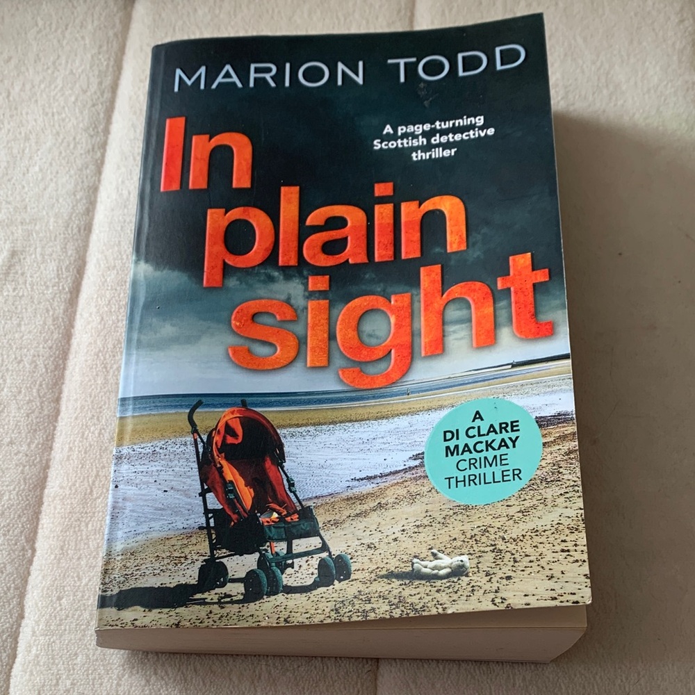 Thriller In Plain Sight Marion Todd scottish crime